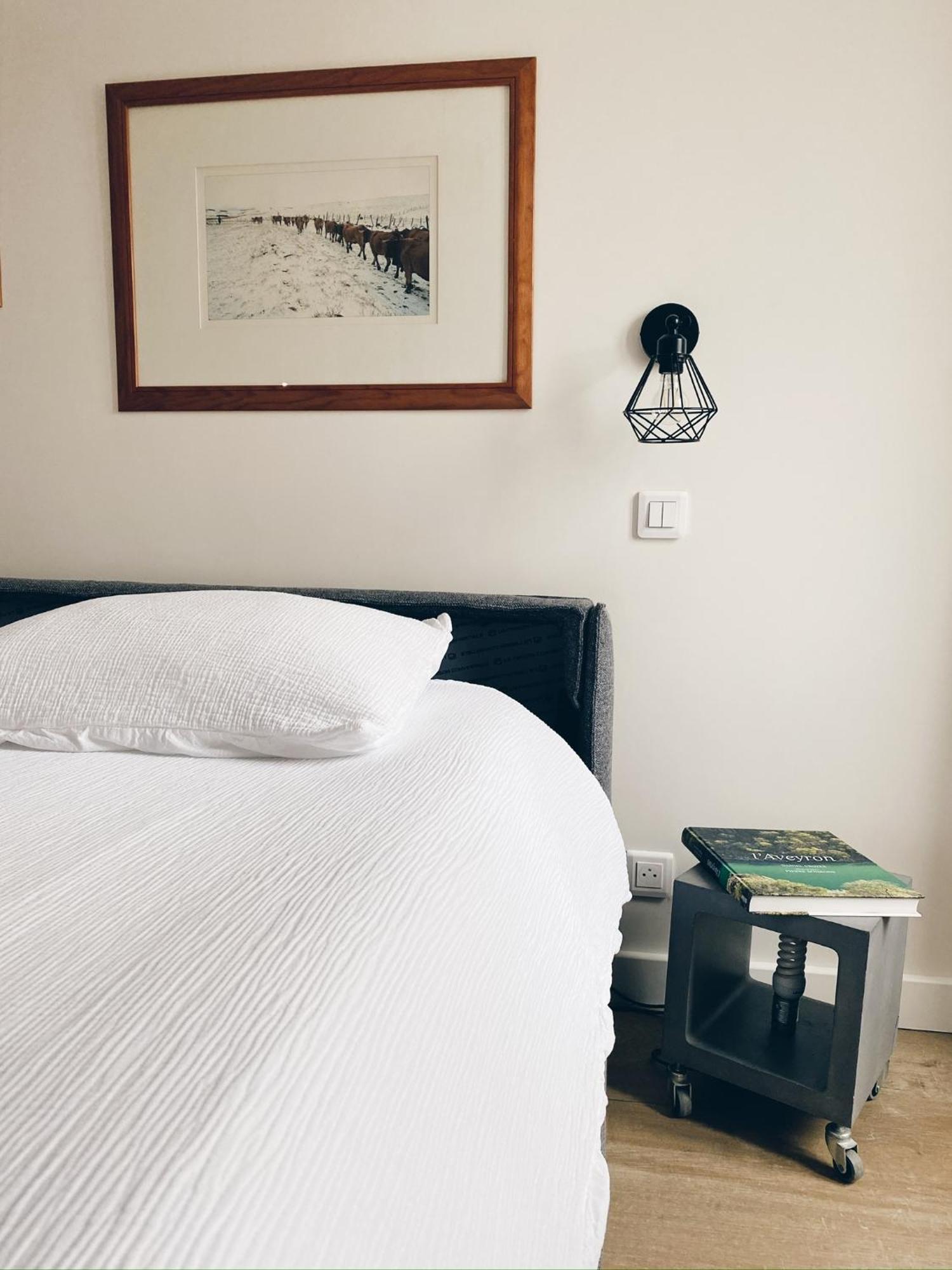 Le Regis Apartment Laguiole Luaran gambar